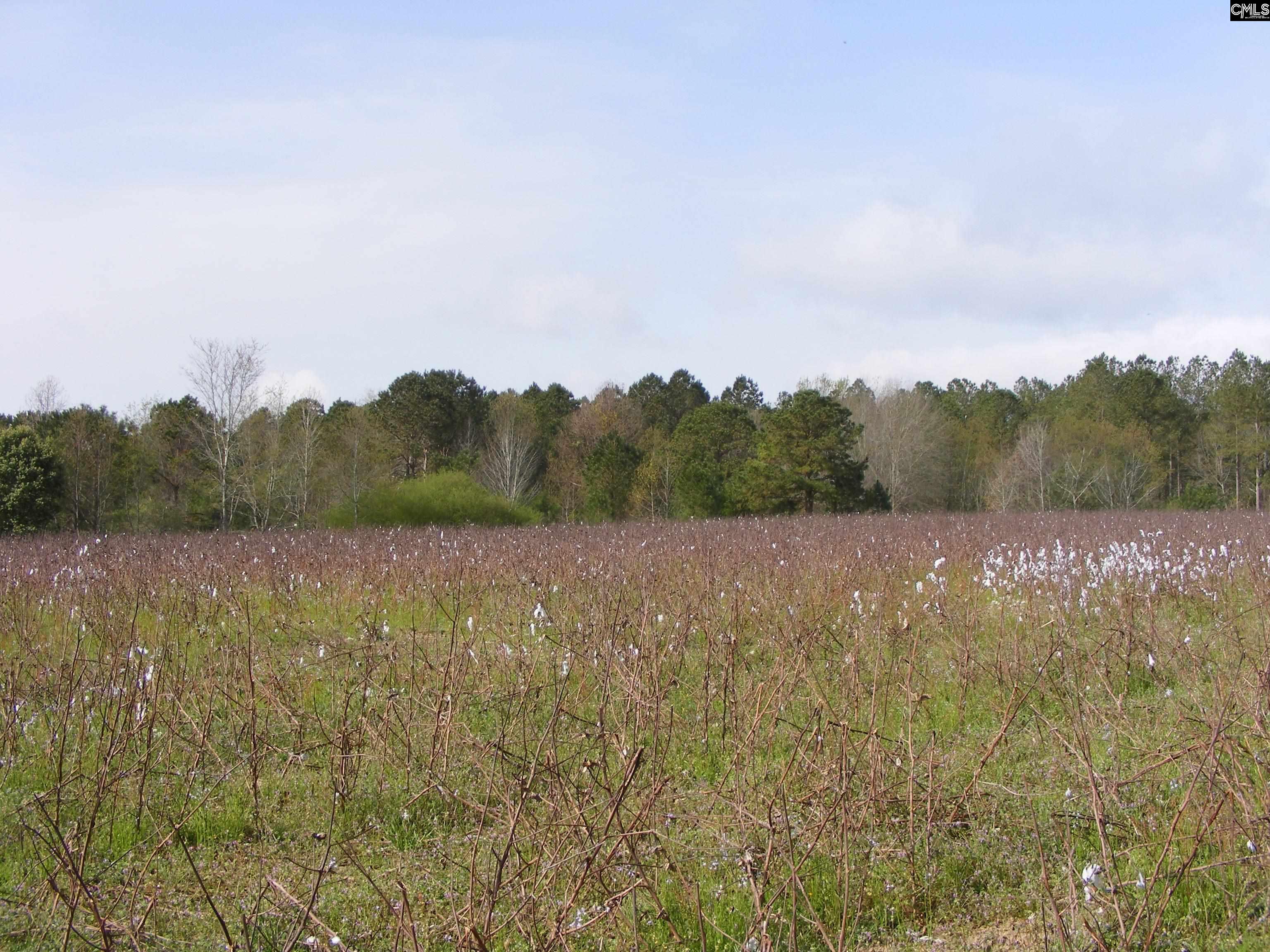 0 Dr Boylston Road Salley, SC 29137 - Photo 12 of 41
