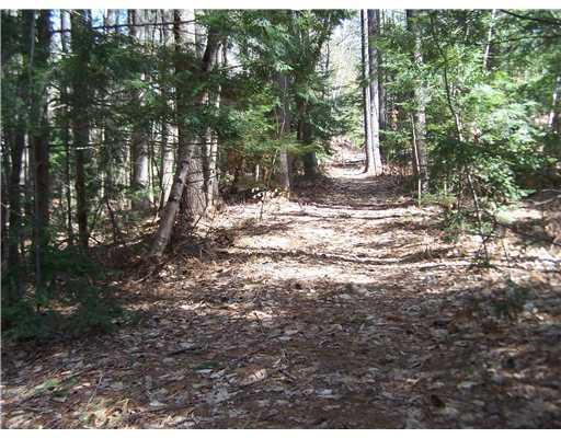 424 River Road Standish, ME 04084 - Photo 21 of 24 Land. back yard path