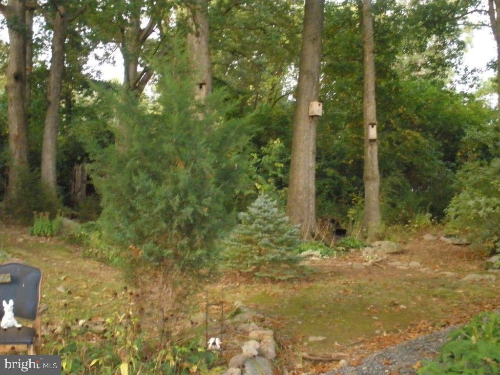 450 Sandy Hill Road Denver, PA 17517 - Photo 8 of 9