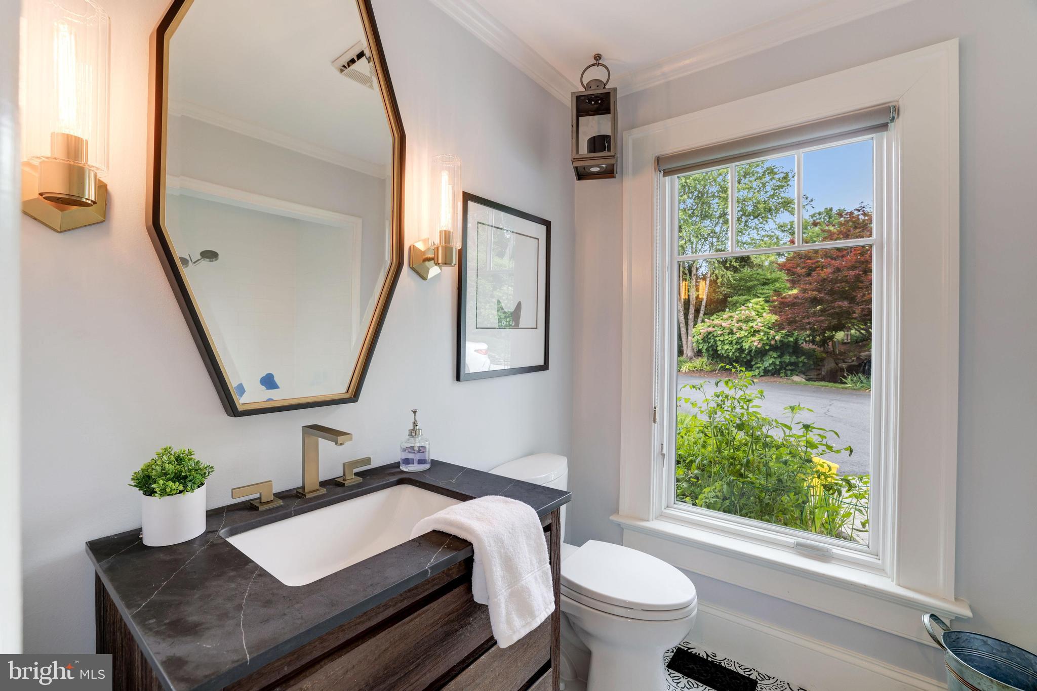 319 Seneca Road Great Falls, VA 22066 - Photo 38 of 97