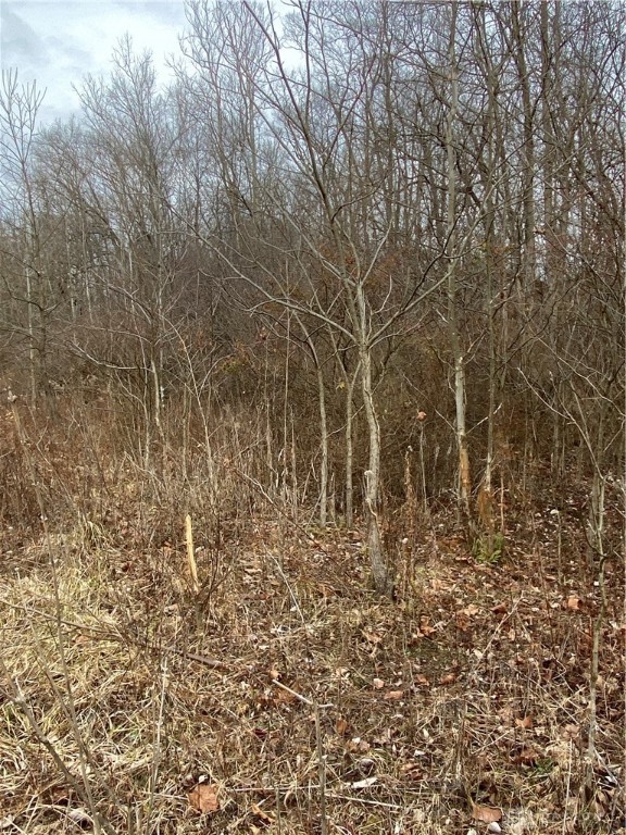 0 Sharpsburg Road Eaton, OH 45320 - Photo 47 of 55 Gallery Image 47