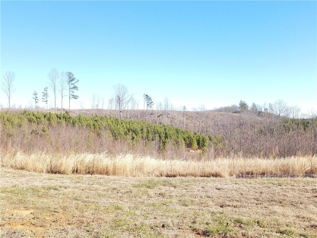 2066 Summey Town Road Trinity, NC 27370 - Photo 20 of 24 Gallery Image 20