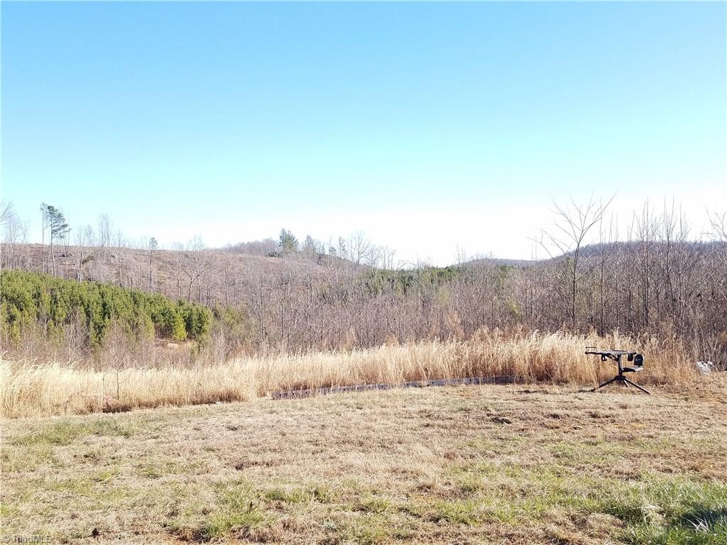 2066 Summey Town Road Trinity, NC 27370 - Photo 21 of 24 Gallery Image 21