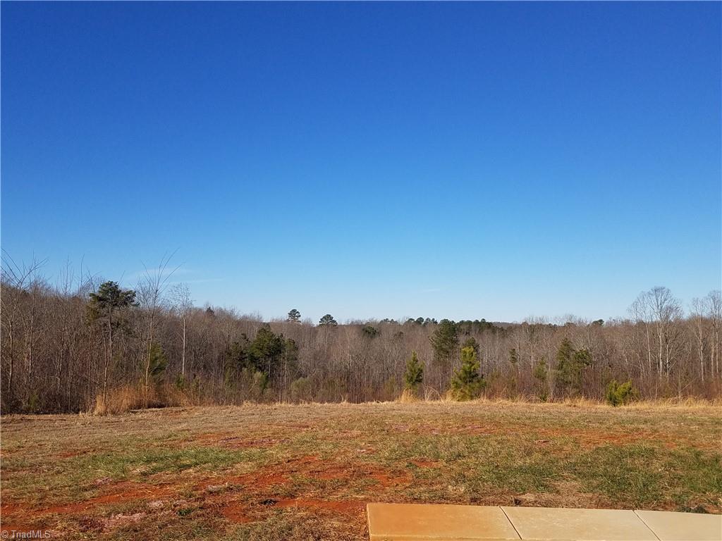 2066 Summey Town Road Trinity, NC 27370 - Photo 22 of 24 Gallery Image 22