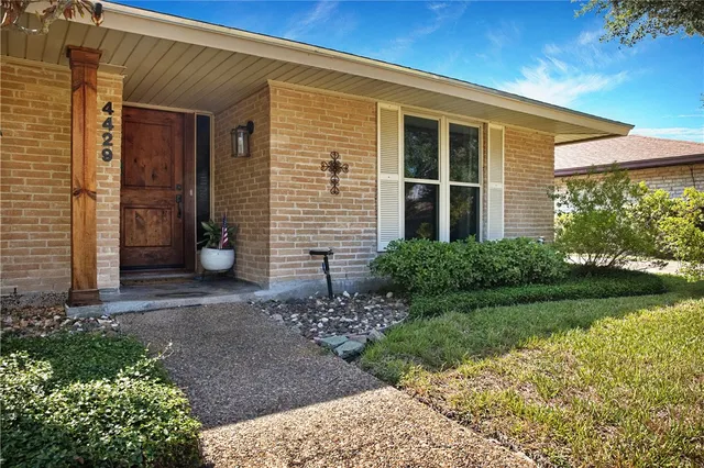 a view of a backyard with plants and large tree