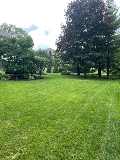 1304 Hunter Circle Naperville, IL 60540 - Photo 4 of 4