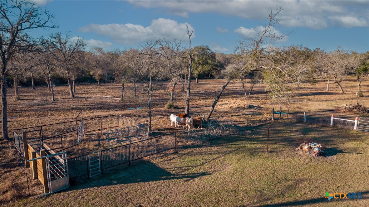 1465 County Road 401 Edna, TX 77957 - Photo 35 of 46 a view of a water pond