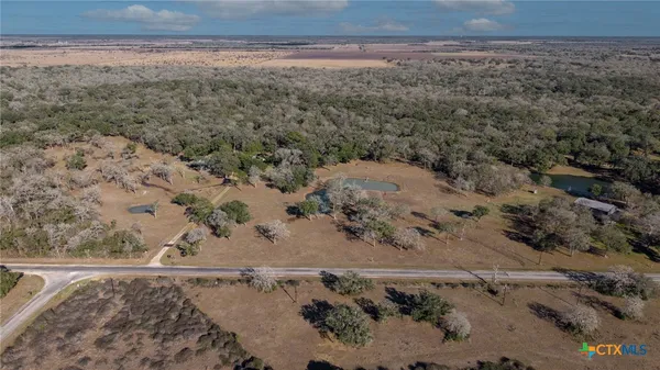 a view of a dry yard and covered with trees