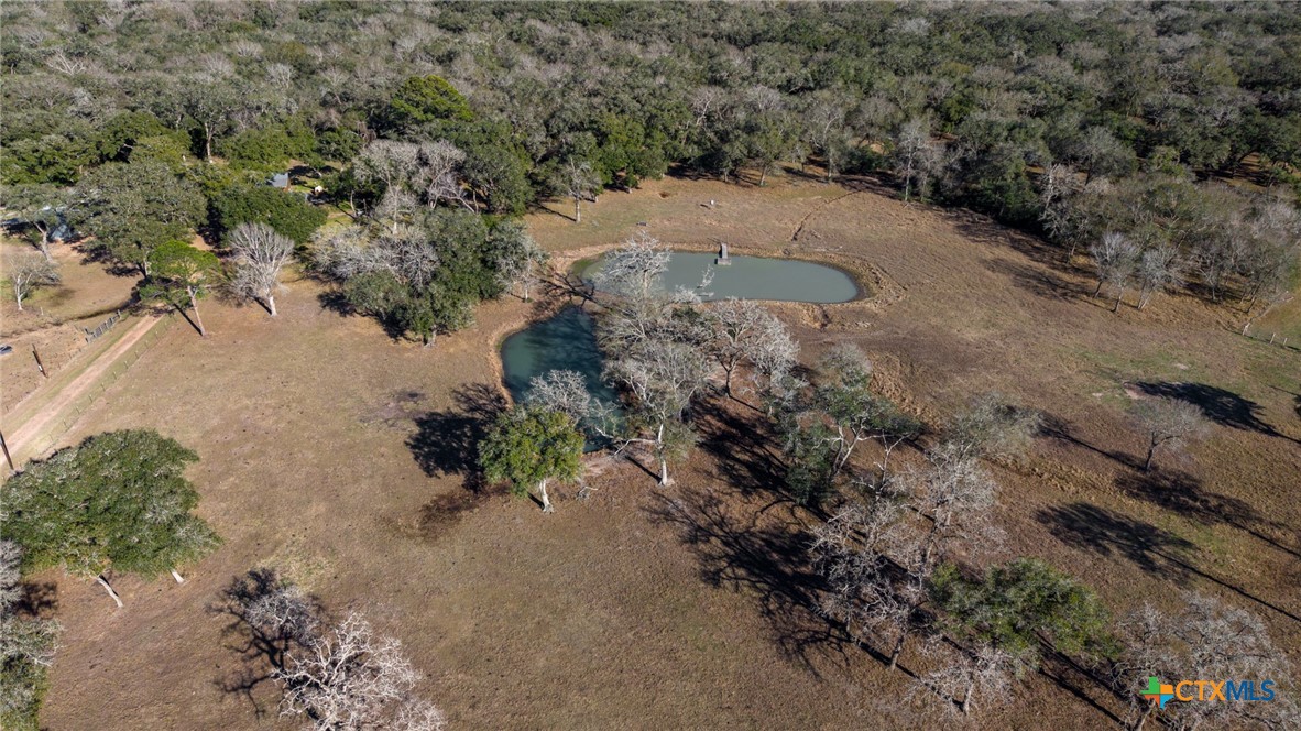 1465 County Road 401 Edna, TX 77957 - Photo 43 of 46 a view of a dry yard with lots of bushes