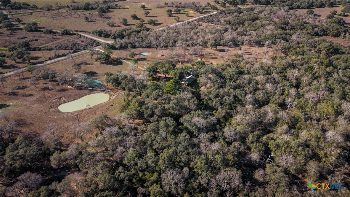 1465 County Road 401 Edna, TX 77957 - Photo 44 of 46 a view of a dry yard and covered with trees