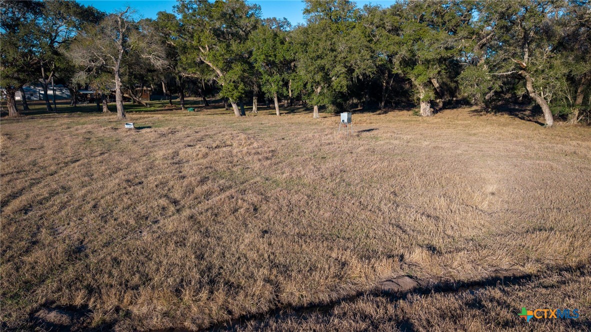 1465 County Road 401 Edna, TX 77957 - Photo 46 of 46 a backyard of a house with trees