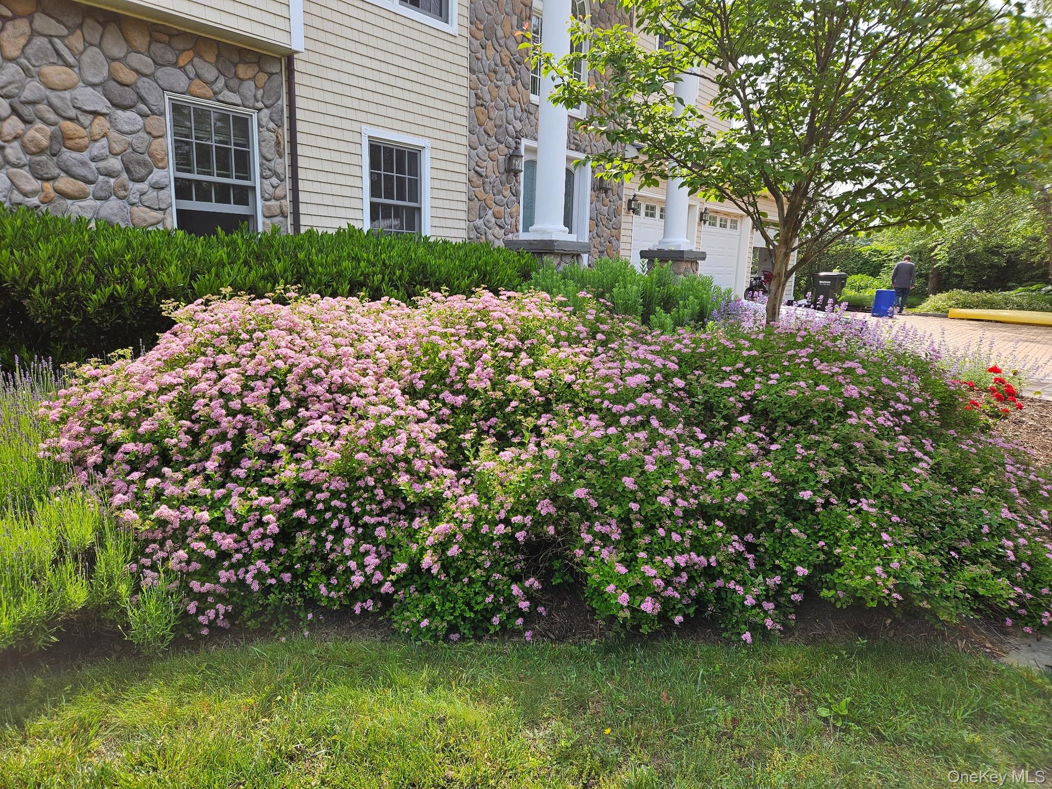 1680 Lands End Road Orient, NY 11957 - Photo 5 of 50 Beautiful Flowering Bushes
