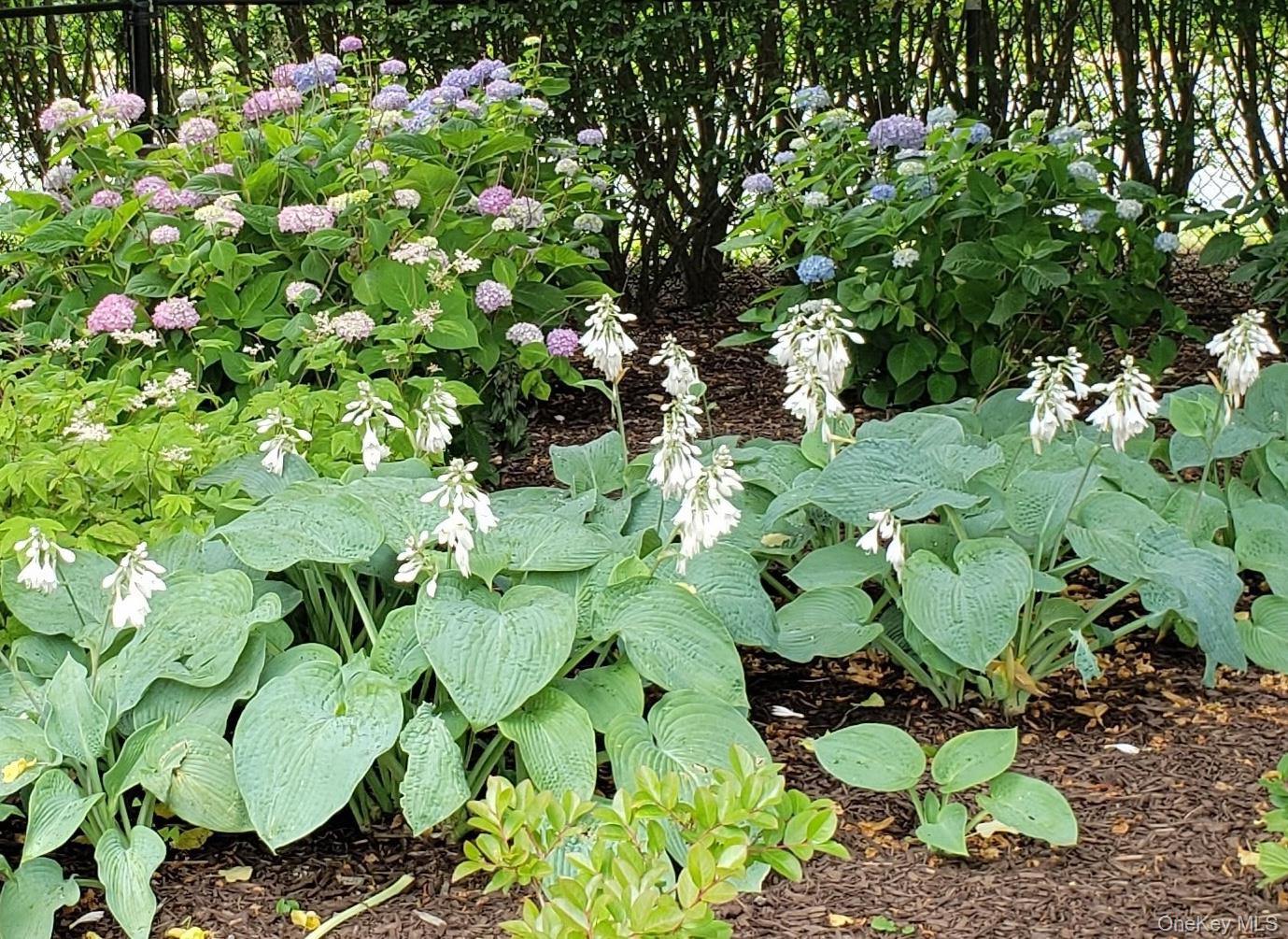 1680 Lands End Road Orient, NY 11957 - Photo 6 of 50 More Flowers!