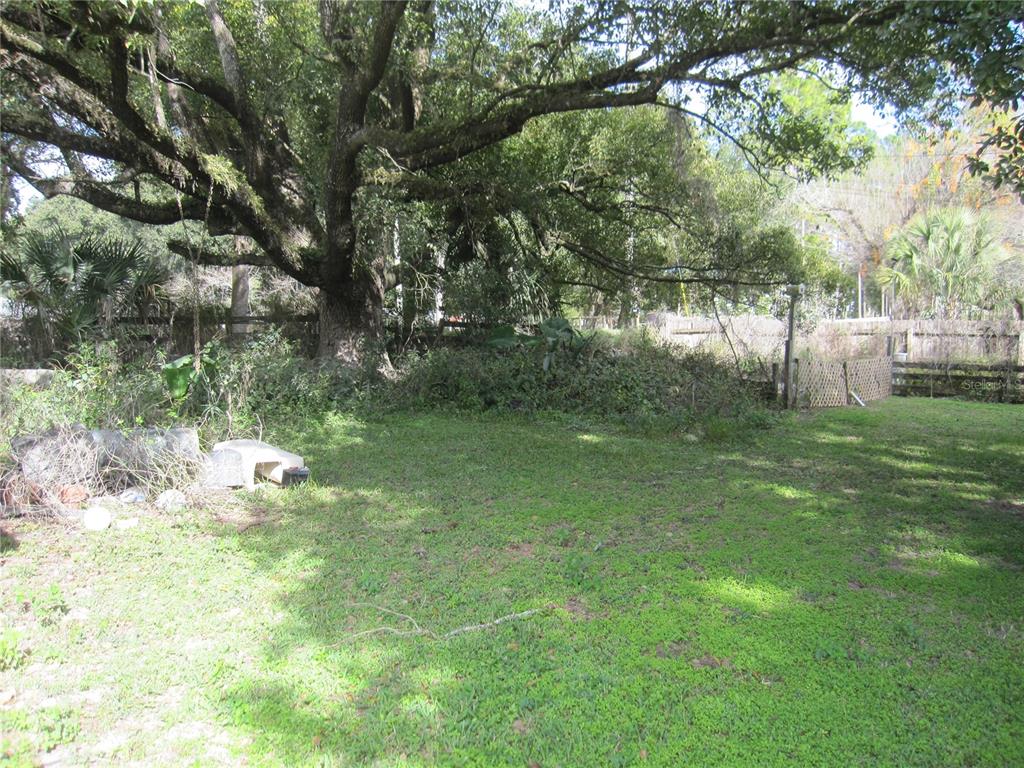 37736 Phelps Road Zephyrhills, FL 33541 - Photo 3 of 30 a backyard of a house with lots of green space