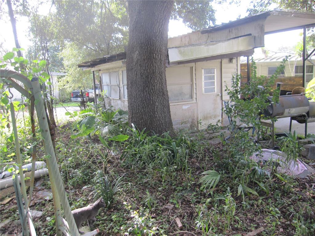 37736 Phelps Road Zephyrhills, FL 33541 - Photo 5 of 30 a view of a house with a yard and plants