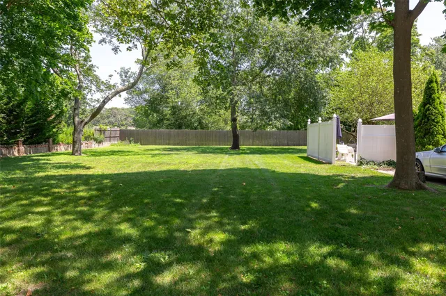 a view of a park with large trees