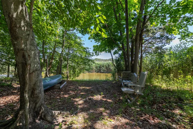 a view of a yard with large trees