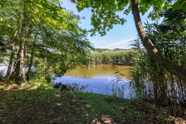 a view of a lake from a yard