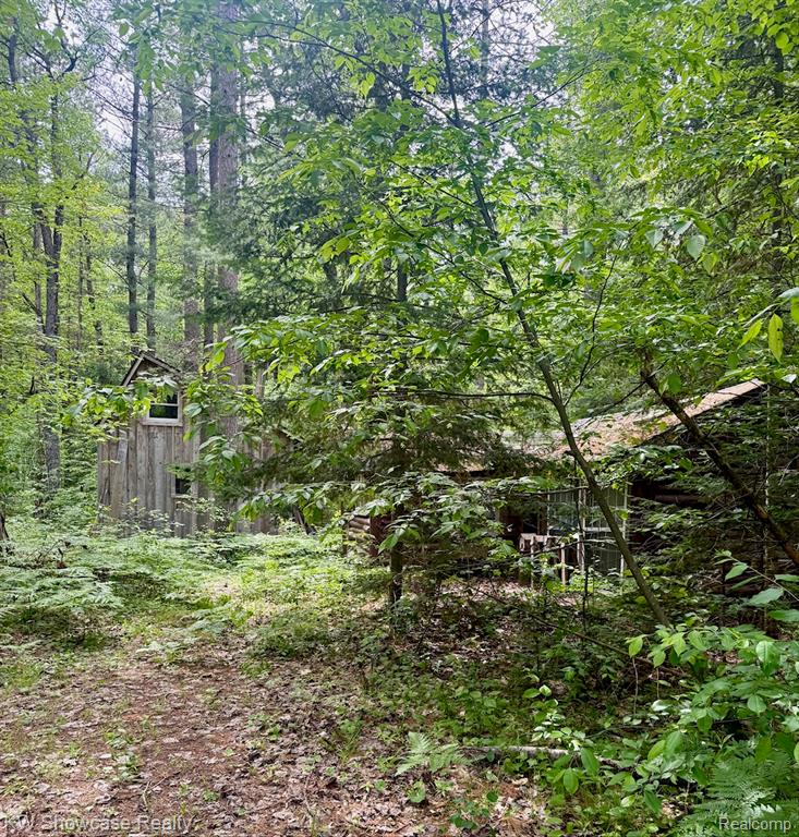 1340 Cauchy Road Mio, MI 48647 - Photo 15 of 27