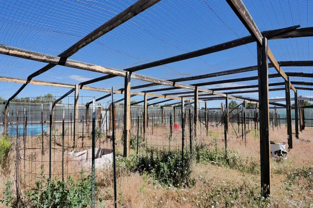 $72,000 | Lot 2 County Road W35, Norwood, CO 81423