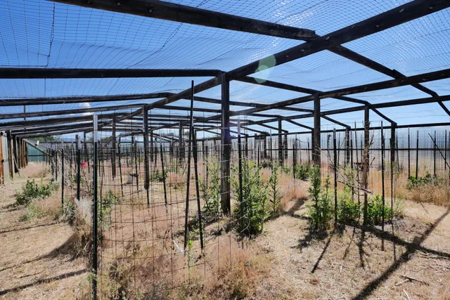 $72,000 | Lot 2 County Road W35, Norwood, CO 81423