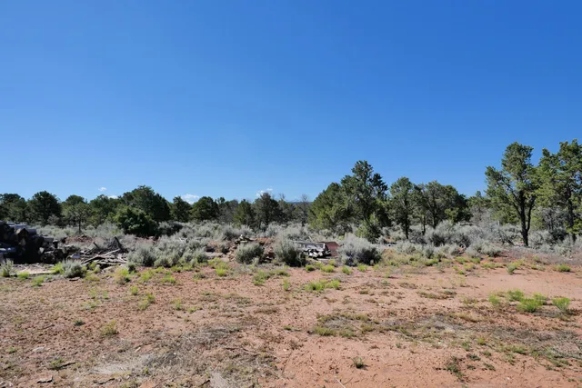$72,000 | Lot 2 County Road W35, Norwood, CO 81423