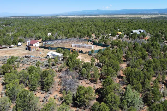 $72,000 | Lot 2 County Road W35, Norwood, CO 81423