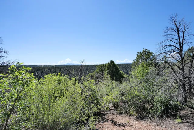 $72,000 | Lot 2 County Road W35, Norwood, CO 81423