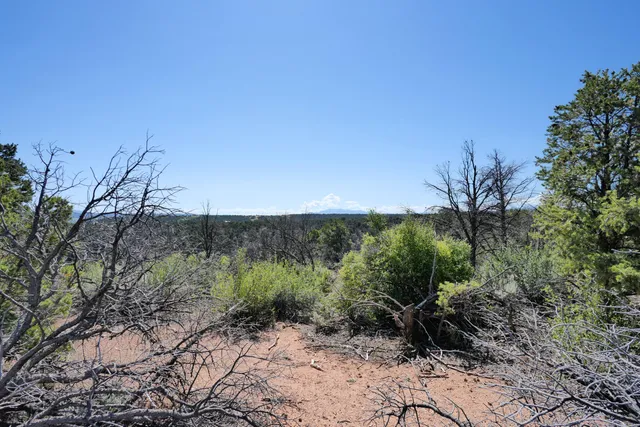 $72,000 | Lot 2 County Road W35, Norwood, CO 81423