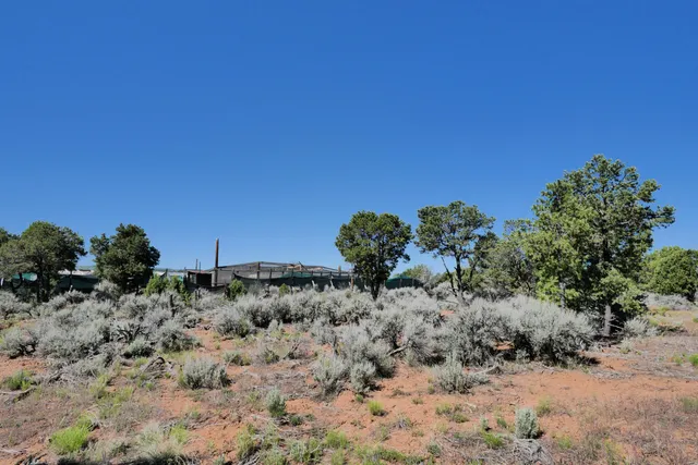 $72,000 | Lot 2 County Road W35, Norwood, CO 81423