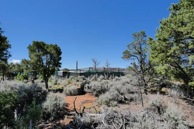 $72,000 | Lot 2 County Road W35, Norwood, CO 81423