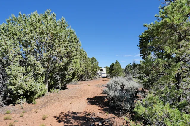 $72,000 | Lot 2 County Road W35, Norwood, CO 81423