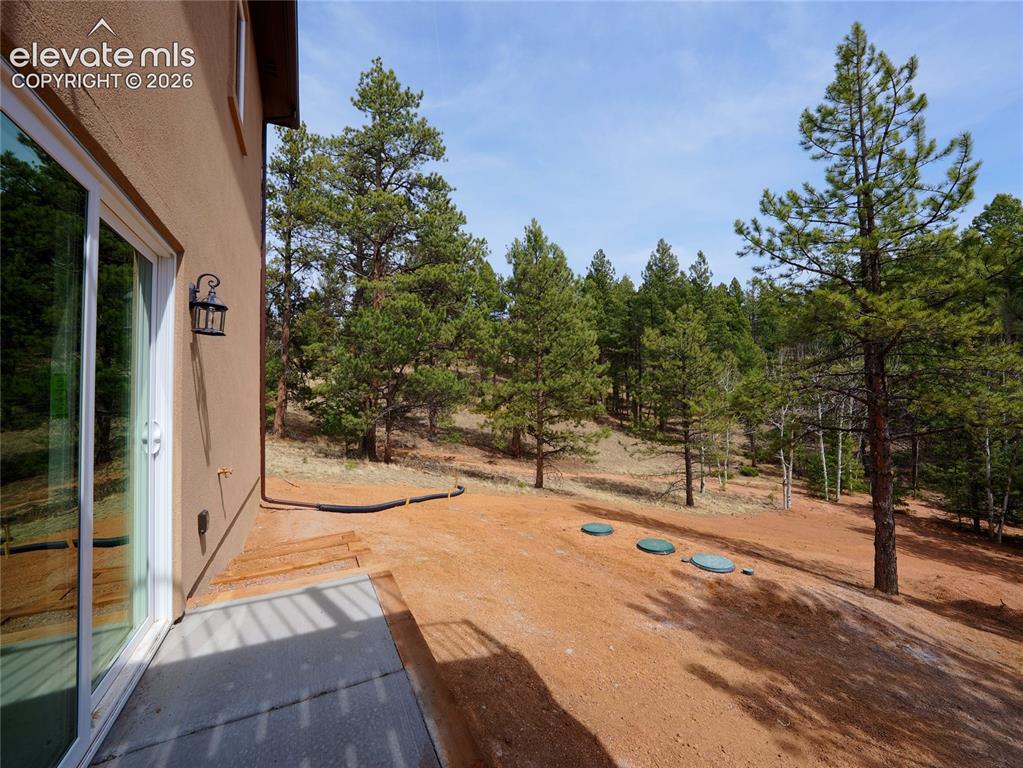 748 Pinewood Road Florissant, CO 80816 - Photo 38 of 46