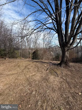 a backyard of a house with large trees