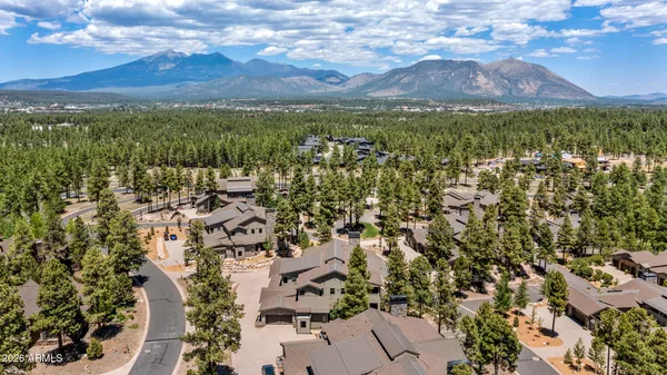 an aerial view of residential houses with outdoor space and trees