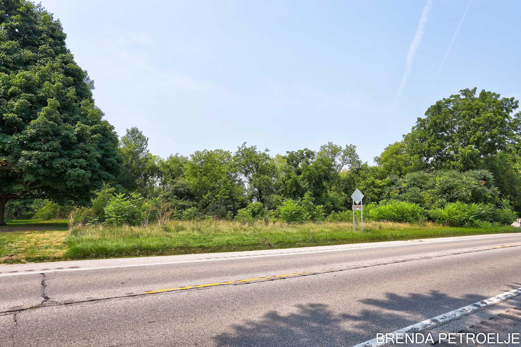 3674 Lincoln Road Hamilton, MI 49419 - Photo 11 of 39 Extra Lot