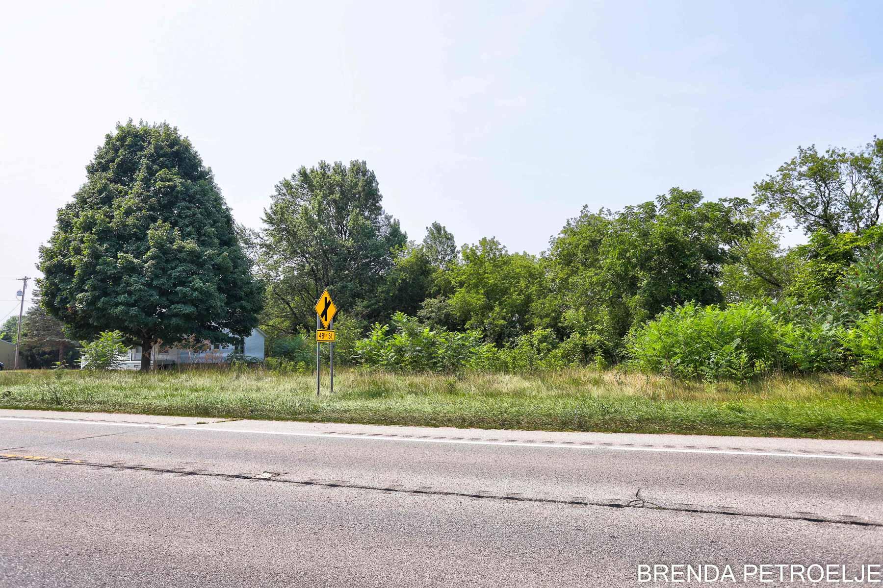 3674 Lincoln Road Hamilton, MI 49419 - Photo 13 of 39 Side Yard