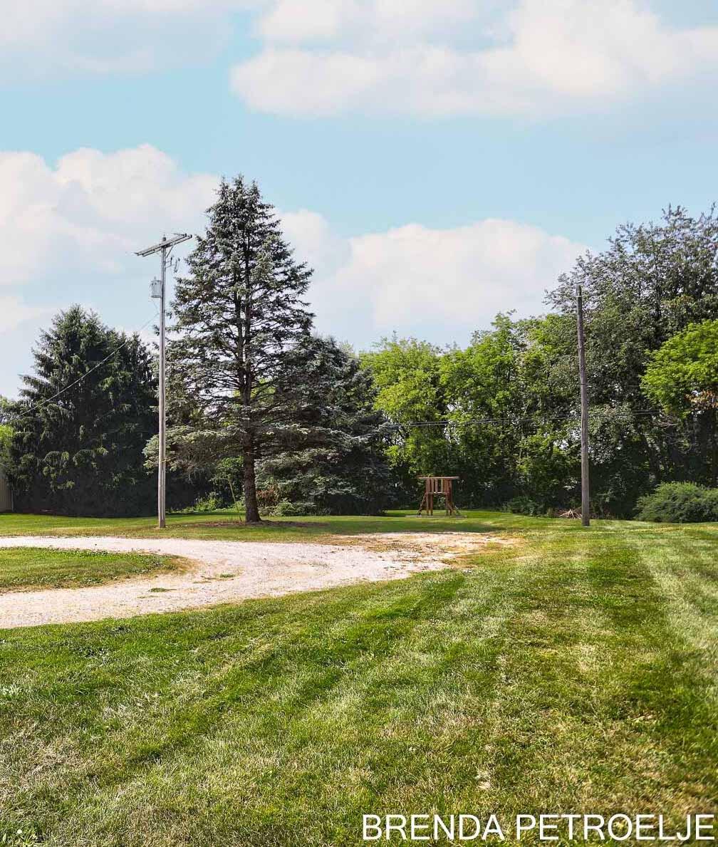 3674 Lincoln Road Hamilton, MI 49419 - Photo 7 of 39 1.9 acres Yard