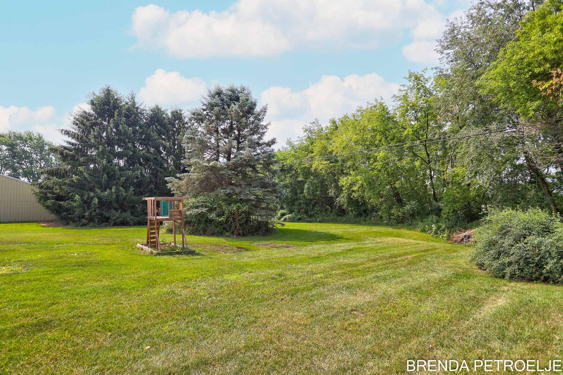 3674 Lincoln Road Hamilton, MI 49419 - Photo 9 of 39 Large Yard