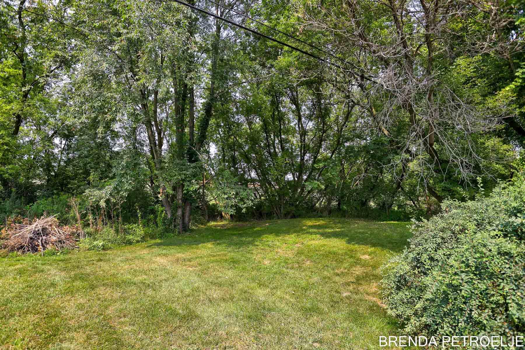 3674 Lincoln Road Hamilton, MI 49419 - Photo 10 of 39 Shade Trees
