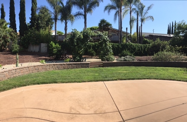 321 Womack Lane Fallbrook, CA 92028 - Photo 16 of 25 All new landscape and hardscape.