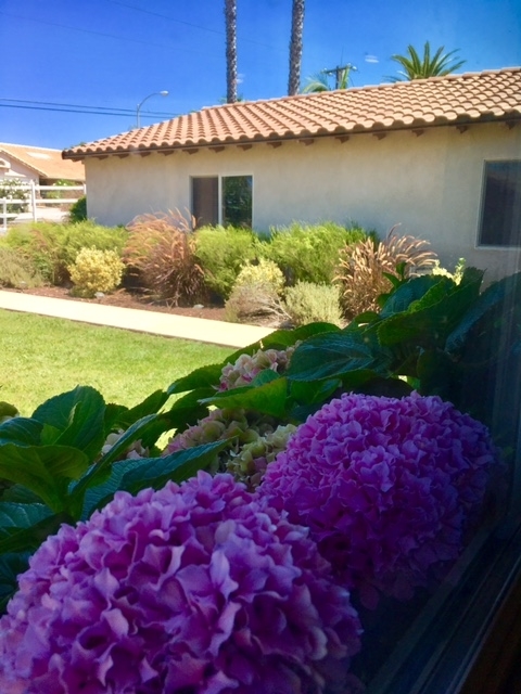 321 Womack Lane Fallbrook, CA 92028 - Photo 24 of 25 Nice view from front window.