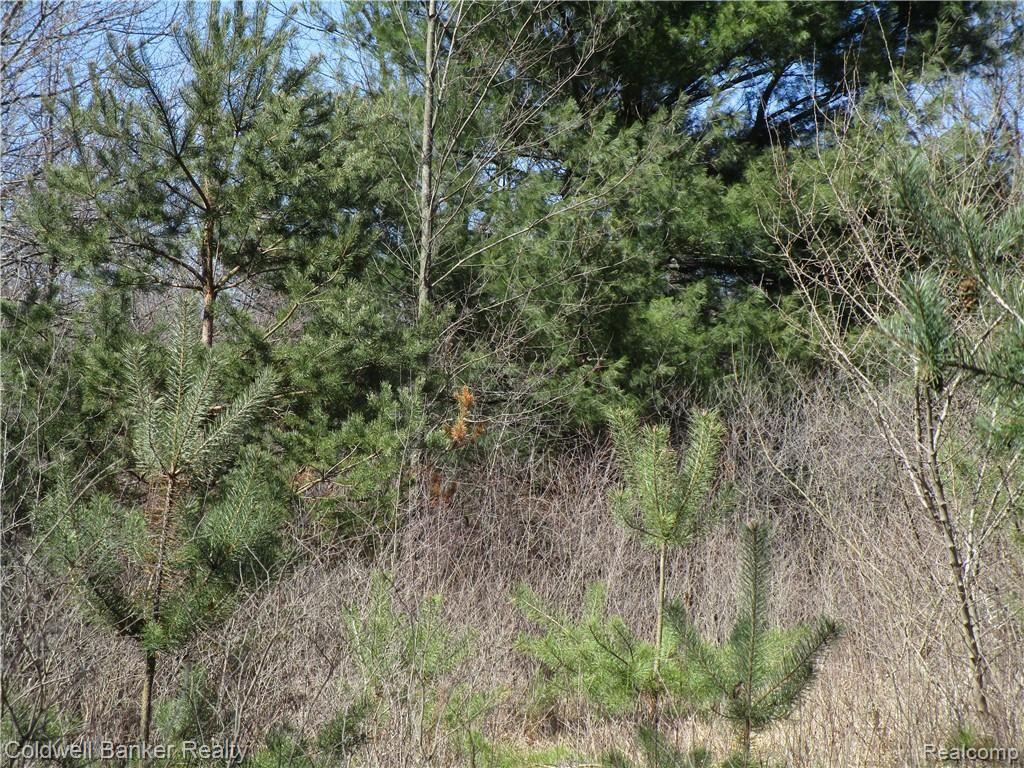 0 Gregory Road Lake Orion, MI 48359 - Photo 3 of 5
