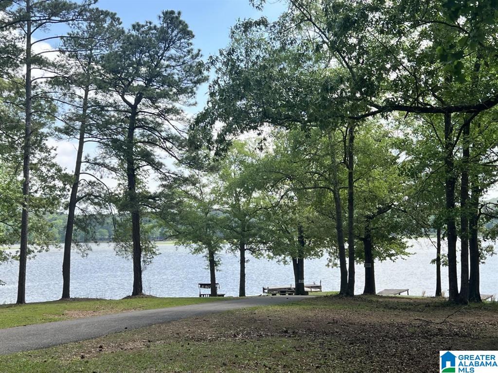 359 Arrowhead Drive Riverside, AL 35135 - Photo 7 of 38