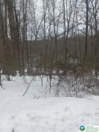 $14,000 | 81 Bear Cub Path, Scotrun, PA 18355