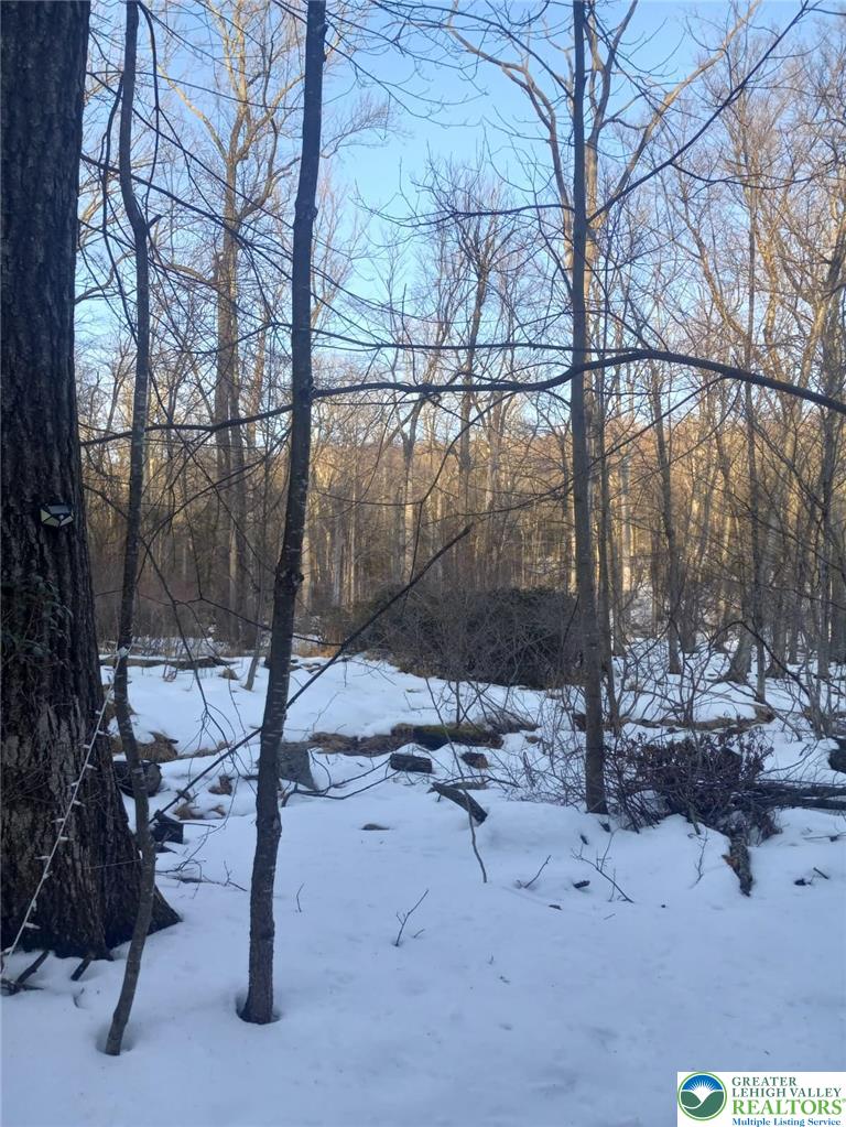 81 Bear Cub Path Scotrun, PA 18355 - Photo 2 of 2