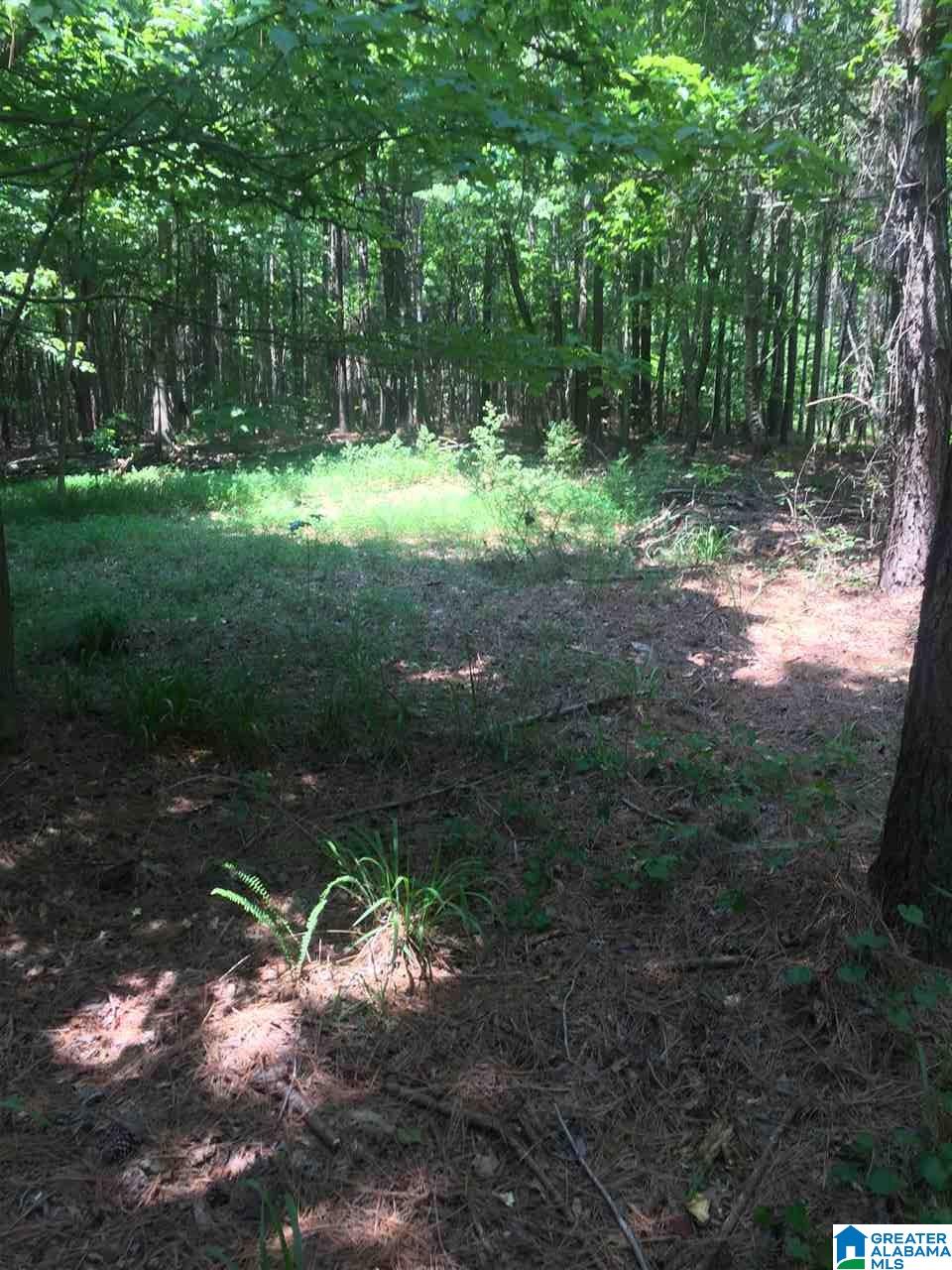 0 Rendalia Motorway, Unit 29 ACRES Talladega, AL 35160 - Photo 9 of 21