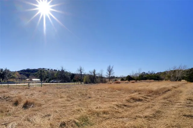 a view of dirt yard with a large tree