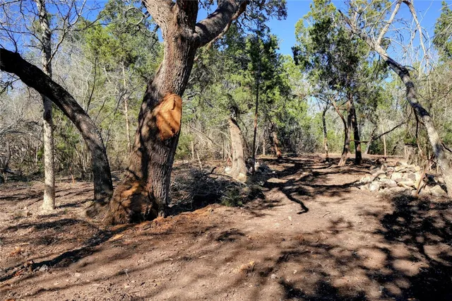 a backyard of a house with lots of green space