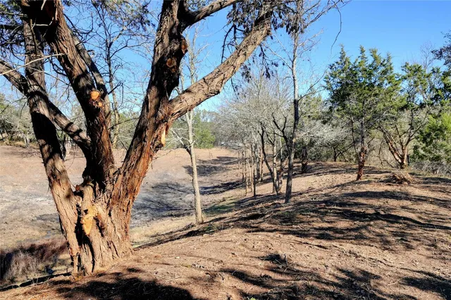 $329,900 | Lot A Rd Blanco Tx 78606 Road, Dripping Springs, TX 78620
